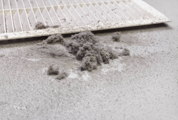 Best Residential Air Duct Cleaning  in Park River, ND