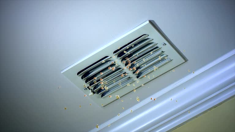 Best Local Air Duct Cleaning Services  in Park River, ND