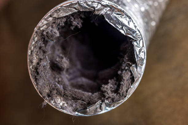 Best Local Air Duct Cleaning Services  in Park River, ND